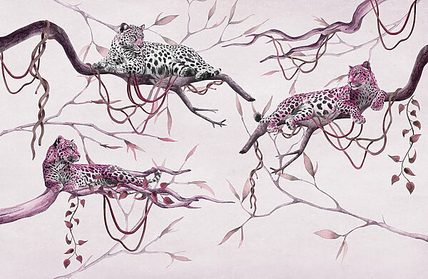 Group of leopards lying on a tree branch Group of leopards lying on a tree branch