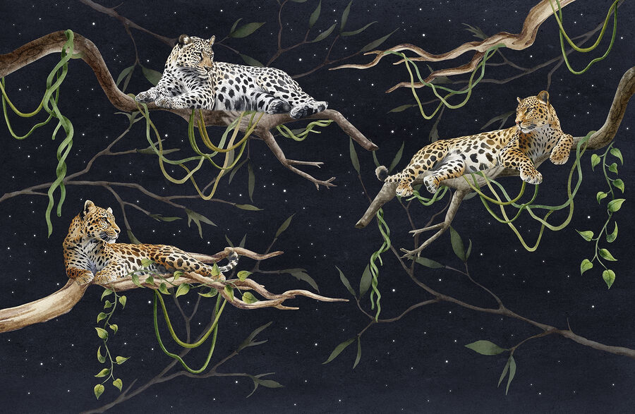 Wall murals Group of leopards lying on branches - Image 6