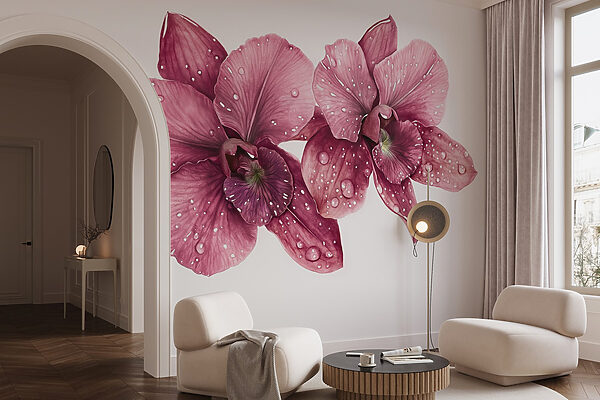 Delicate blooms adorned with droplets Delicate blooms adorned with droplets