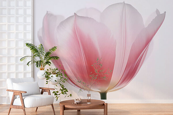 Delicate petals of soft hues Delicate petals of soft hues
