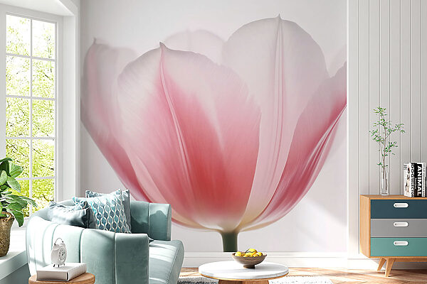 Delicate petals of soft hues Delicate petals of soft hues