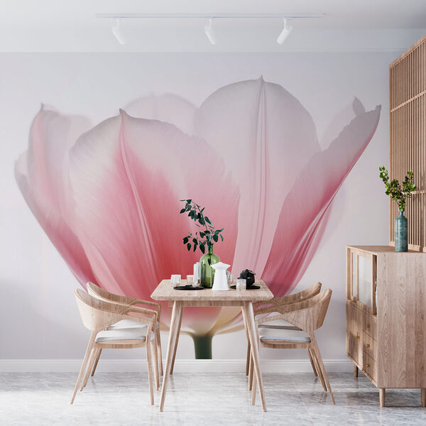 Delicate petals of soft hues Delicate petals of soft hues