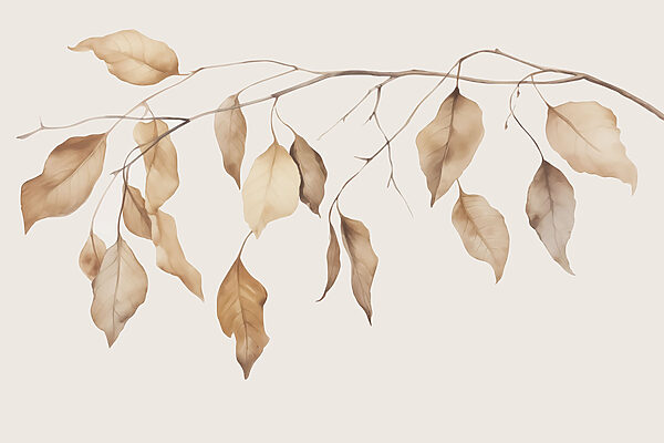 Branch with brown leaves Branch with brown leaves