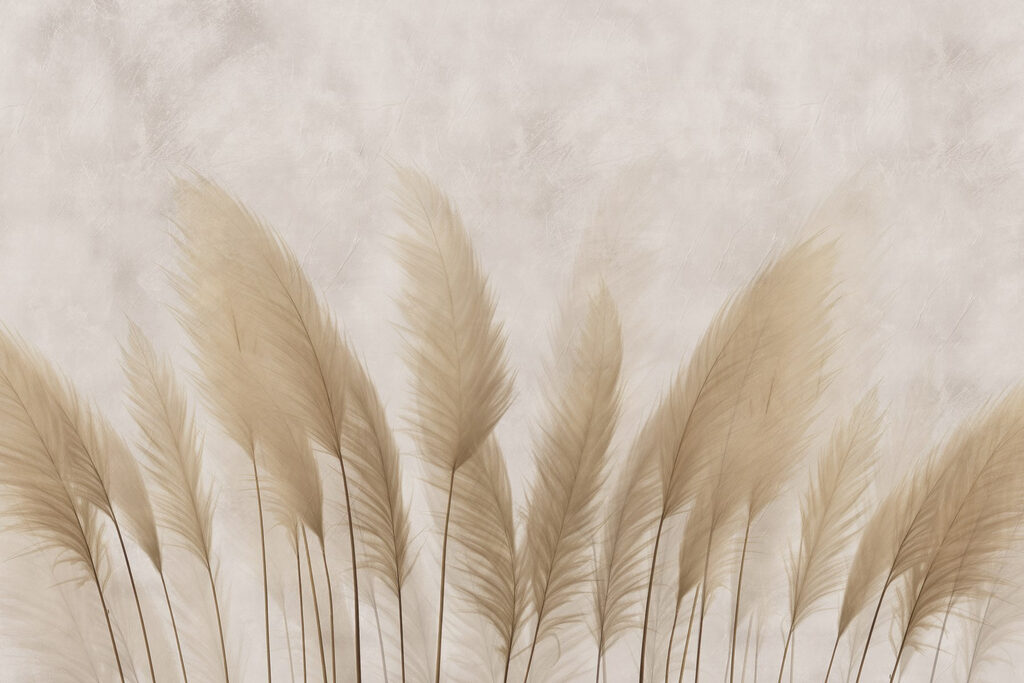 Group of white feathers Group of white feathers