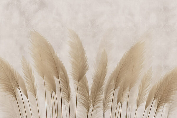 Group of white feathers Group of white feathers