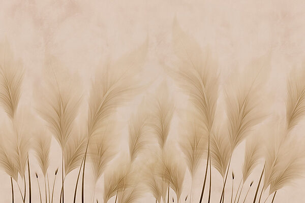 Group of feathers on a beige background Group of feathers on a beige background