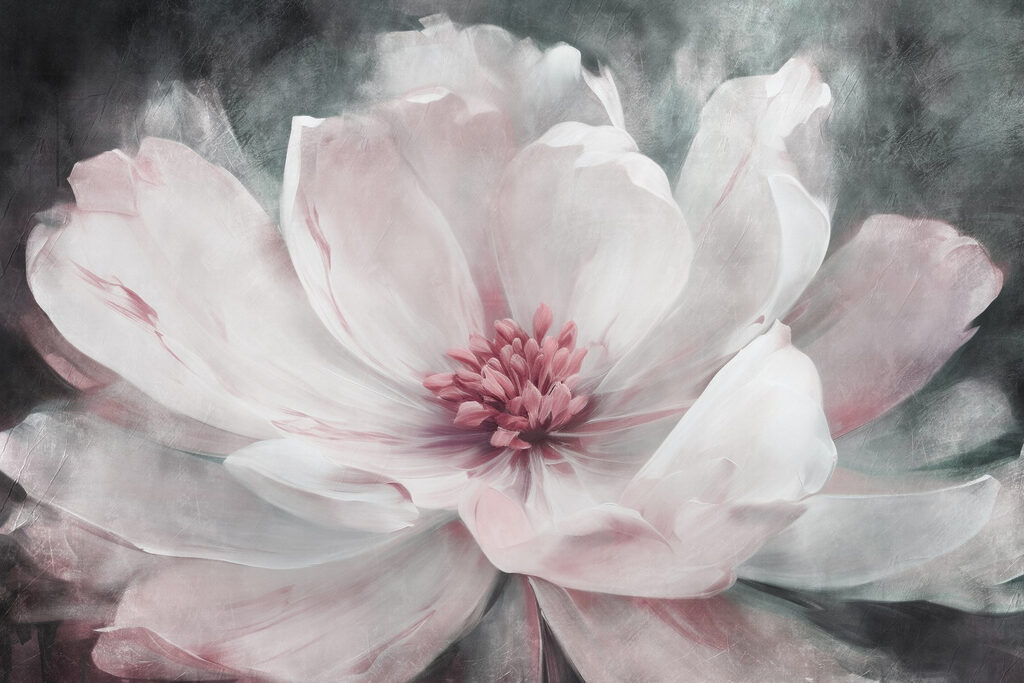 Delicate petals in soft hues Delicate petals in soft hues