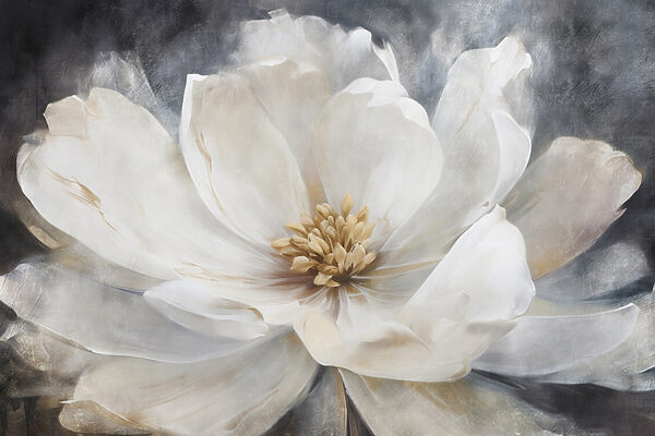 Delicate petals in soft tones Delicate petals in soft tones