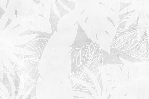 White background with leaves White background with leaves