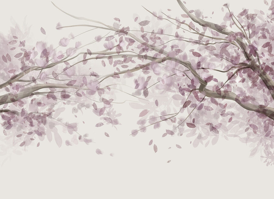 Tree with purple leaves