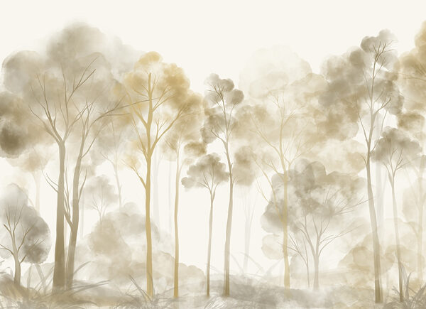 Group of trees in a foggy forest w08870p 600x435 - Group of trees in a foggy forest
