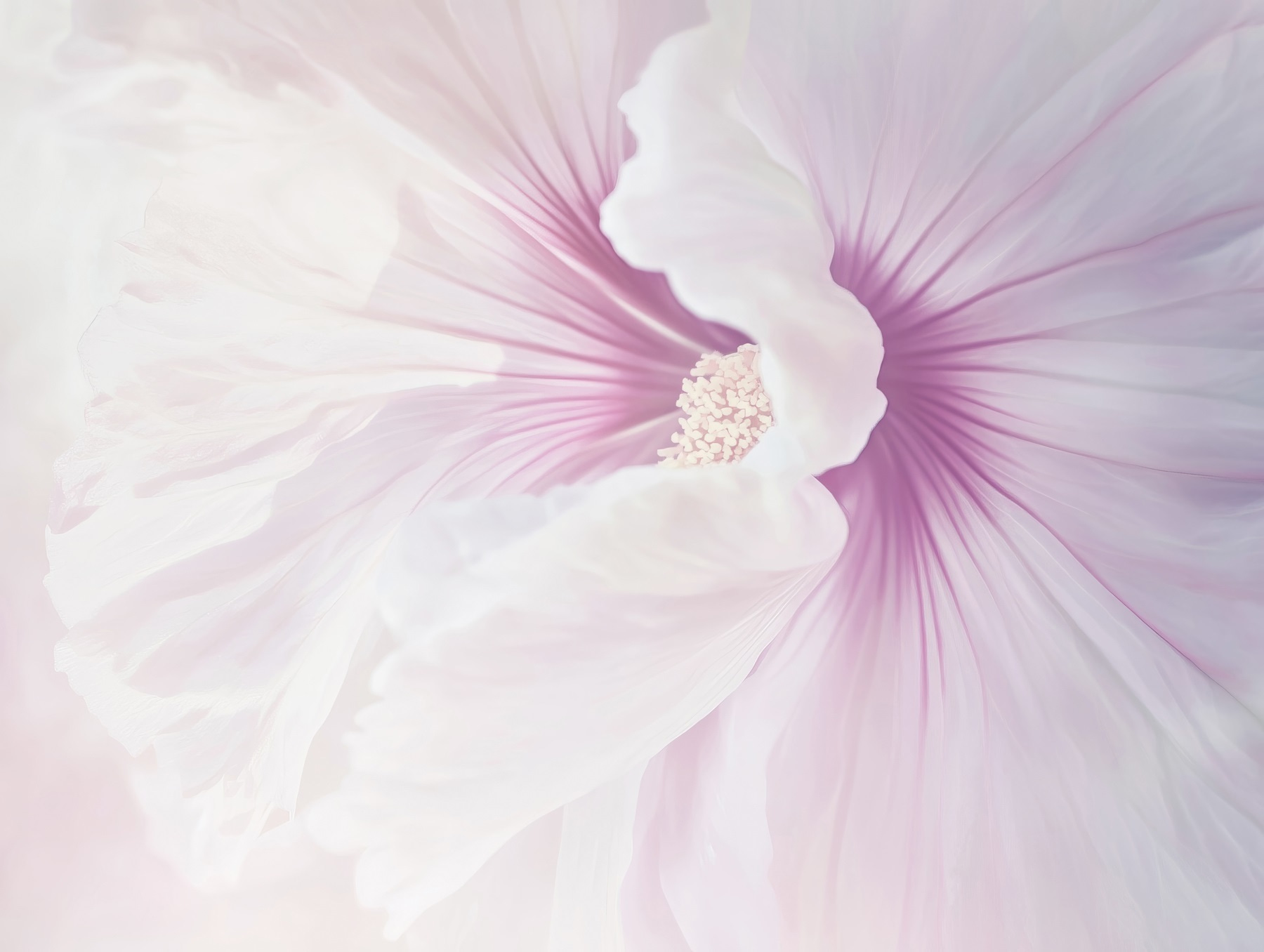 Delicate petals in soft pastel hues