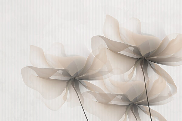 Soft petals in gentle tones. Soft petals in gentle tones.
