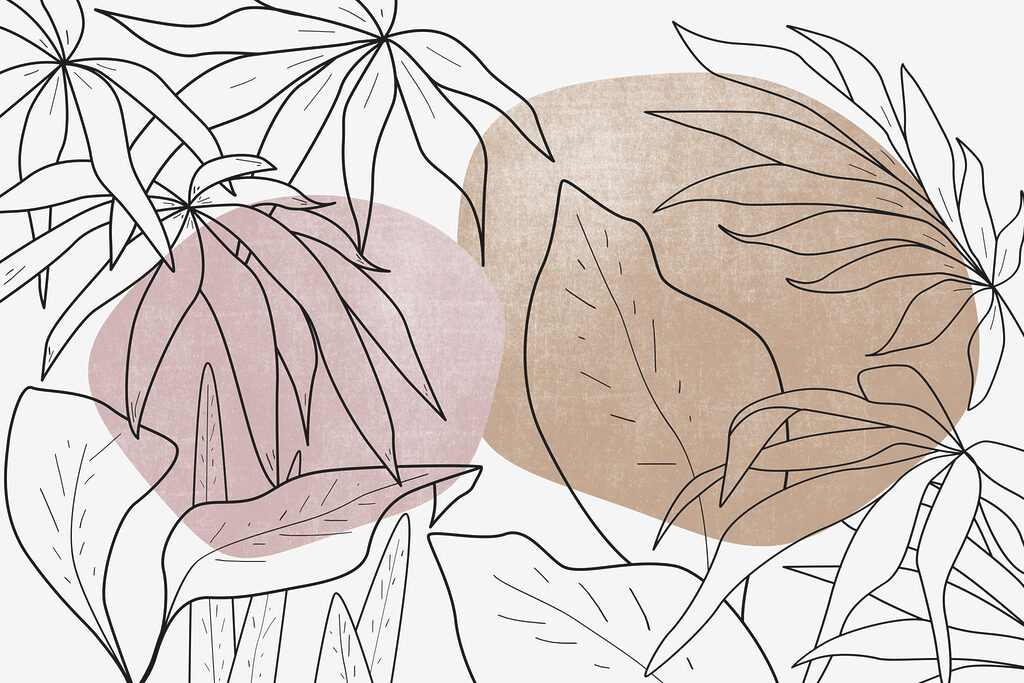 Drawing of leaves and plants Drawing of leaves and plants