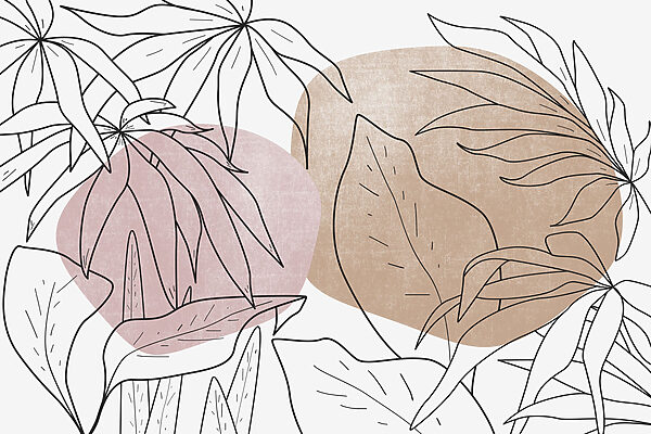 Drawing of leaves and plants Drawing of leaves and plants