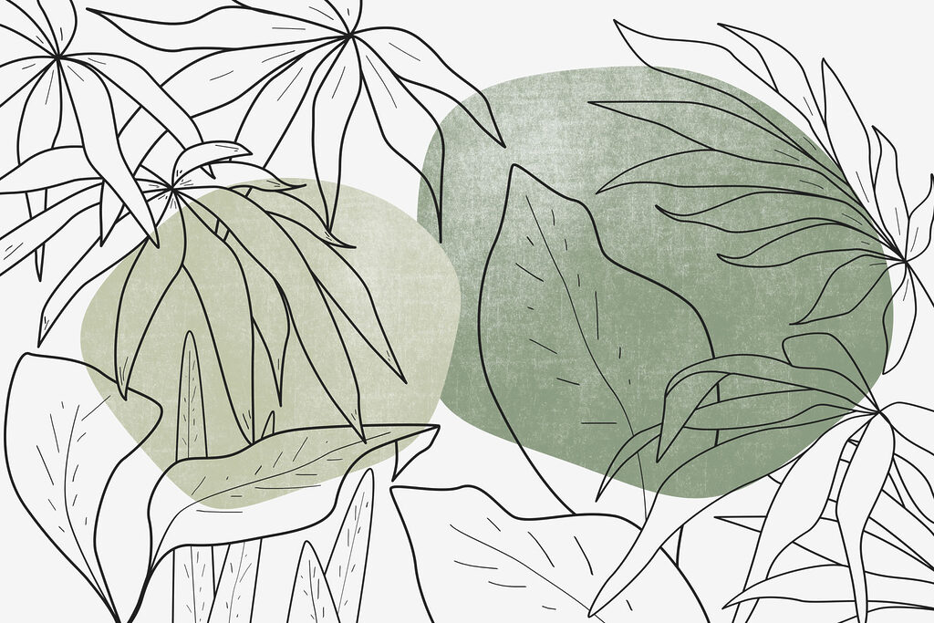 Drawing of leaves and plants Drawing of leaves and plants