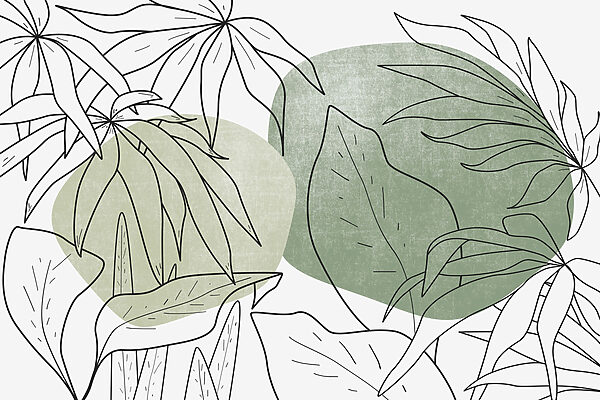 Drawing of leaves and plants Drawing of leaves and plants