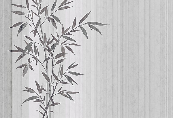 Plant with leaves on it Plant with leaves on it