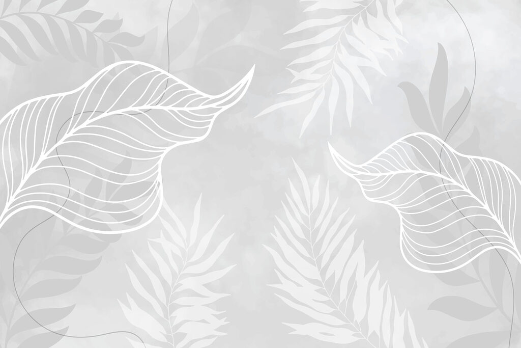 White leaves on a gray background White leaves on a gray background