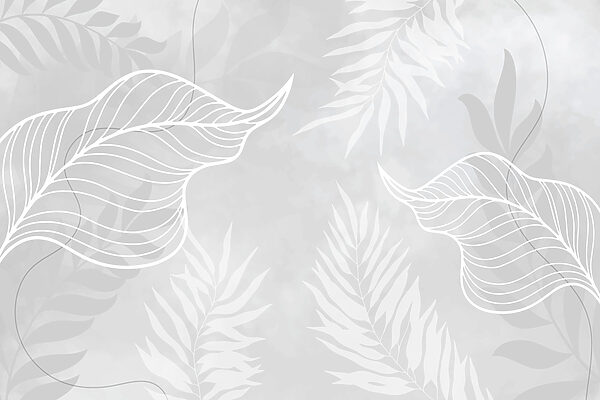 White leaves on a gray background White leaves on a gray background