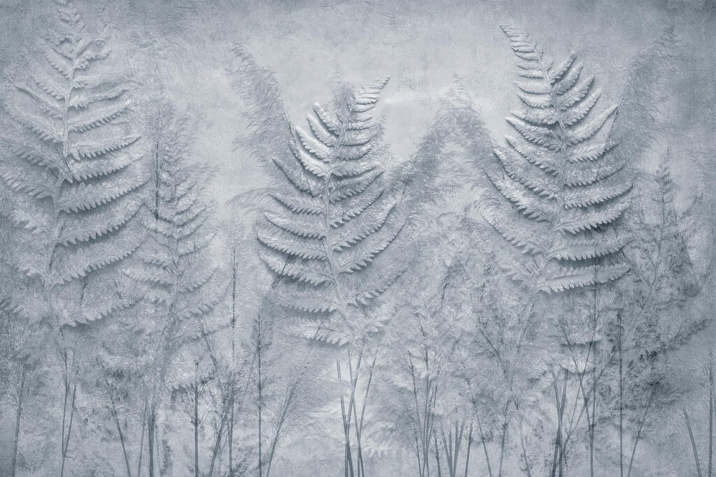 Group of fern leaves Group of fern leaves