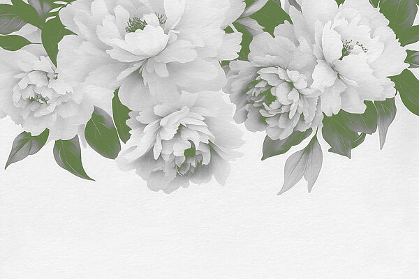 Group of white flowers with green leaves Group of white flowers with green leaves