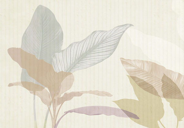 Soft hues of nature's beauty. Soft hues of nature's beauty.