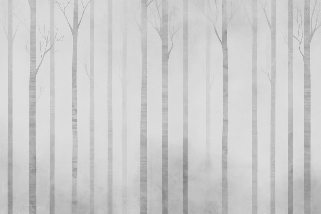 Group of trees in fog Group of trees in fog