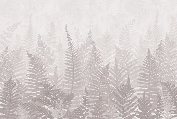 Fern leaves in a foggy environment Fern leaves in a foggy environment