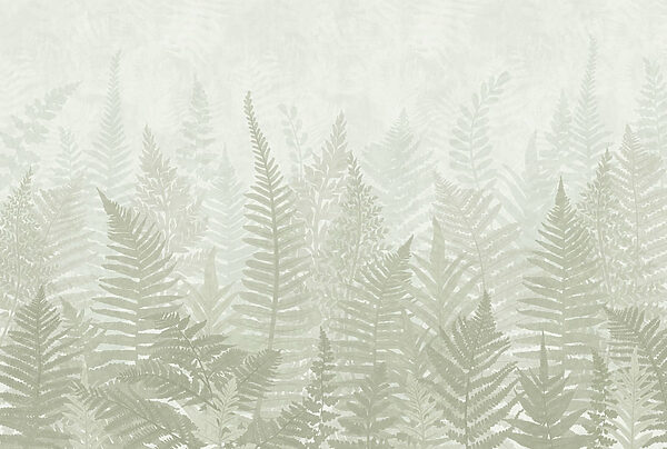 Fern leaves in a foggy environment Fern leaves in a foggy environment