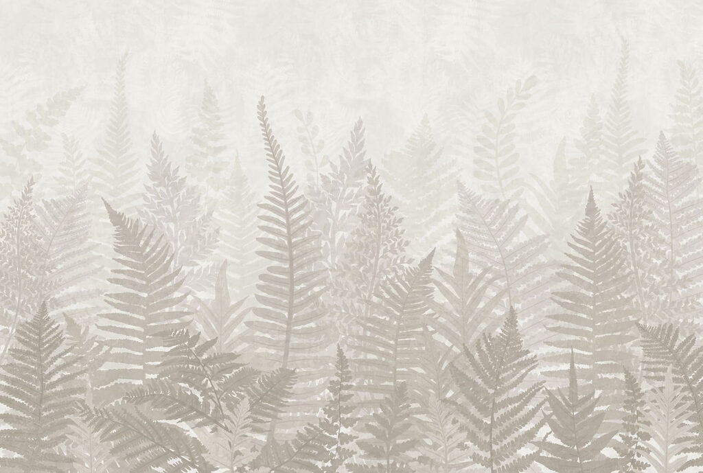 Fern leaves in a row Fern leaves in a row