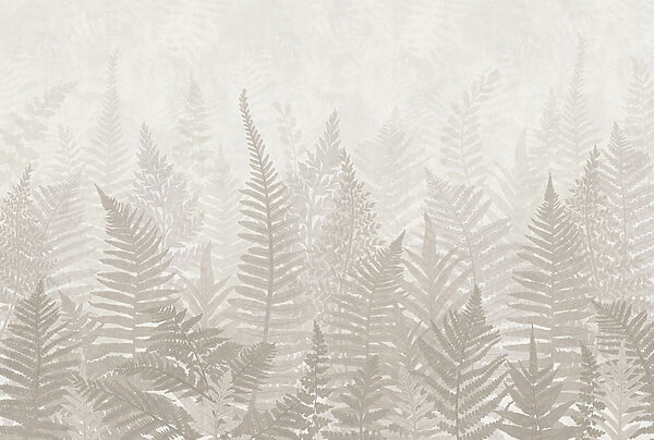 Fern leaves in a row Fern leaves in a row