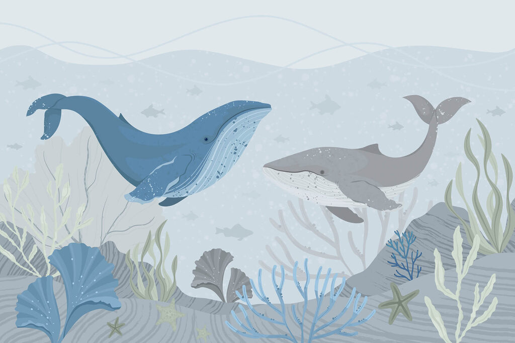 Whale and whale swimming in the ocean Whale and whale swimming in the ocean