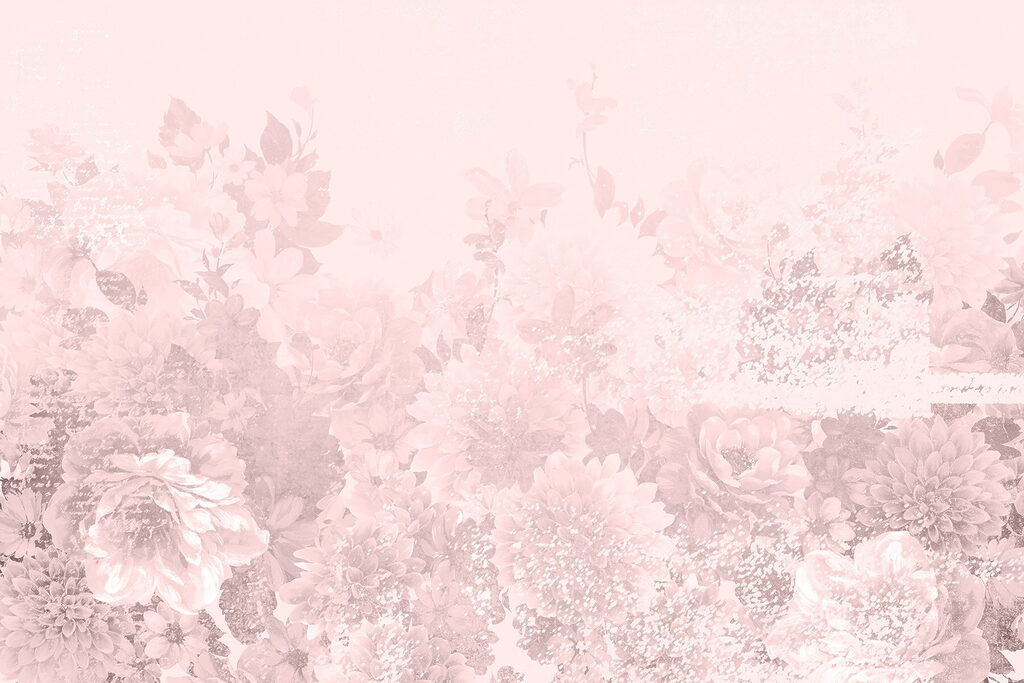 Group of flowers on a white background Group of flowers on a white background