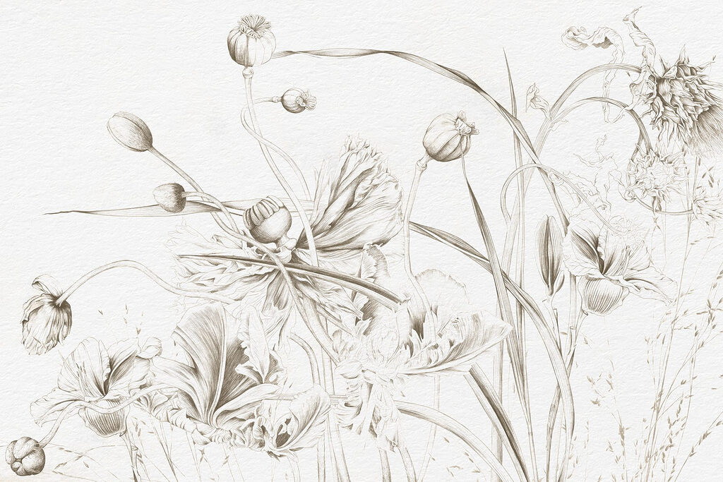 Drawing of flowers and leaves Drawing of flowers and leaves