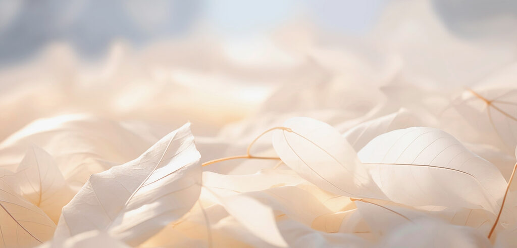 Whispers of nature in soft hues