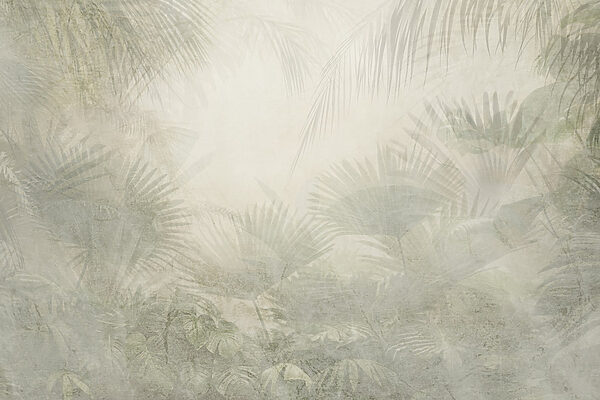 White background with palm leaves White background with palm leaves