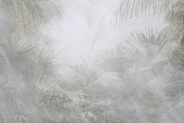 Foggy background with palm trees Foggy background with palm trees