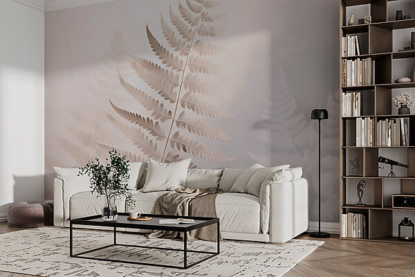 Delicate fern in soft light Delicate fern in soft light