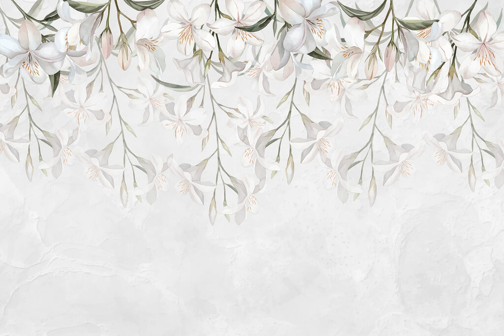 White flowers on a white background White flowers on a white background