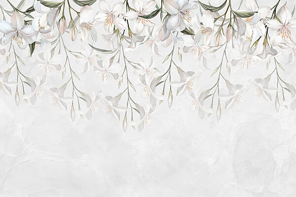 White flowers on a white background White flowers on a white background