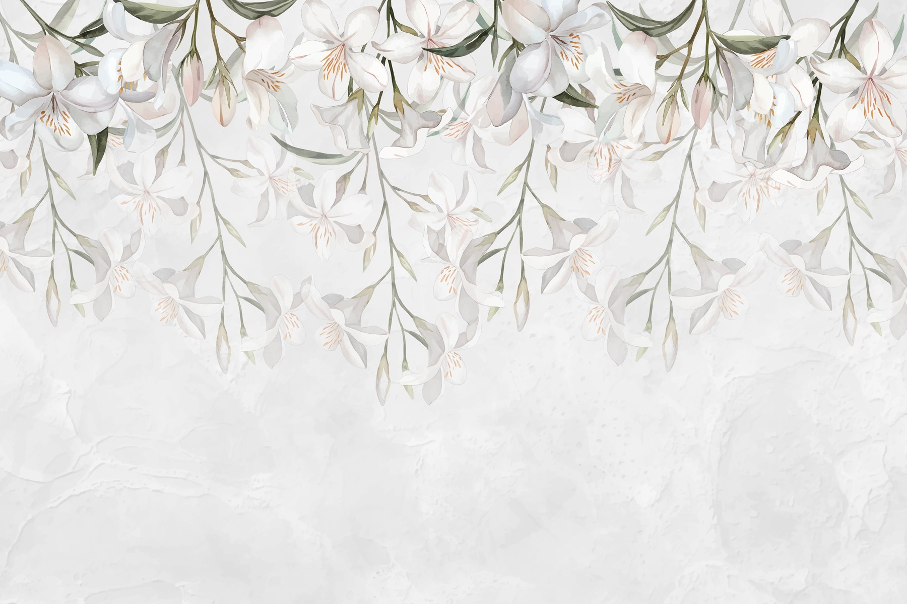 White flowers on a white background White flowers on a white background