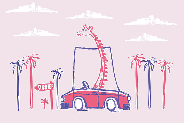 Giraffe in a car Giraffe in a car