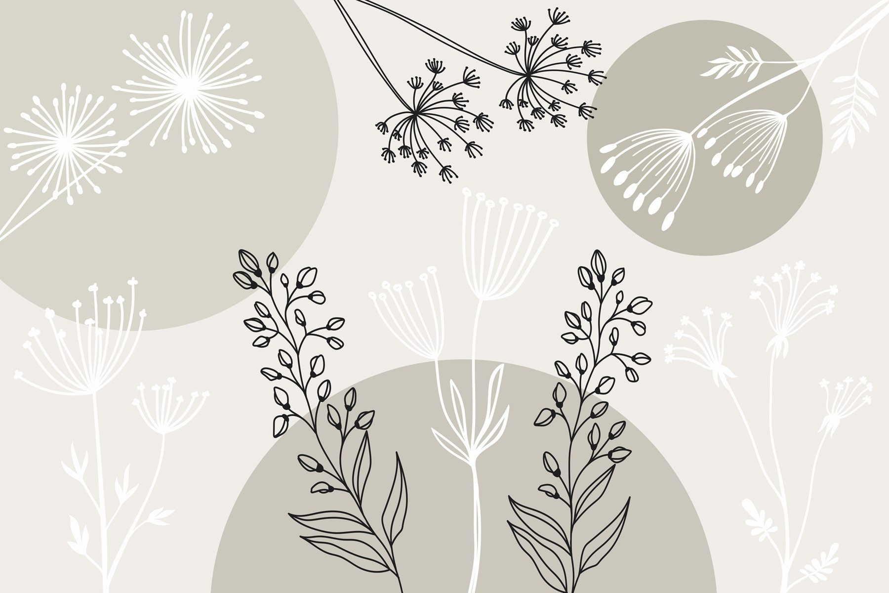 Drawing of flowers and plants Drawing of flowers and plants