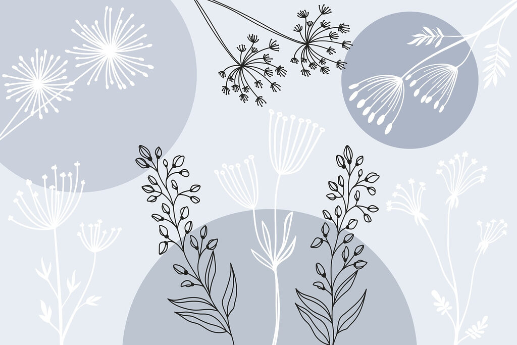 Drawing of flowers and plants Drawing of flowers and plants