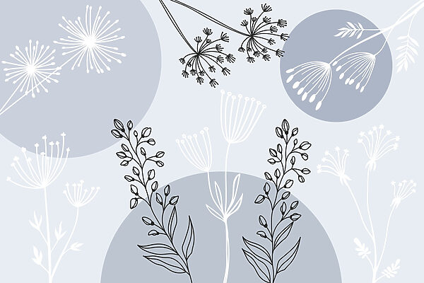 Drawing of flowers and plants Drawing of flowers and plants