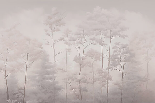 Group of trees with fog Group of trees with fog