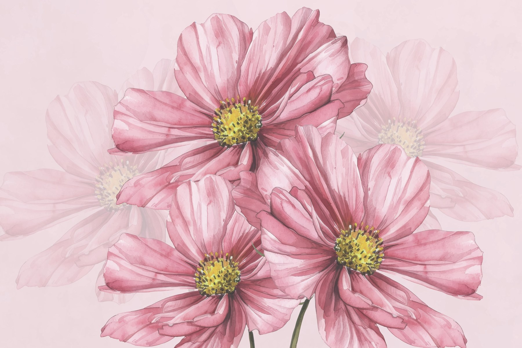 Group of pink flowers Group of pink flowers