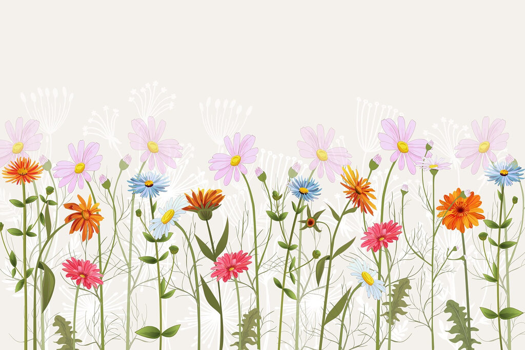 Row of colorful flowers Row of colorful flowers