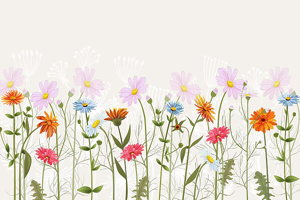Row of colorful flowers Row of colorful flowers